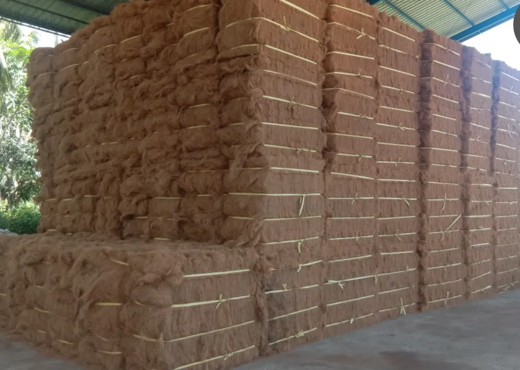 1631008996_Cocofiber_IMG_20210906_184802