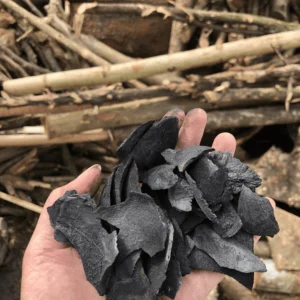 Coconut Shell Charcoal