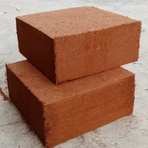 Cocopeat Block (High EC)