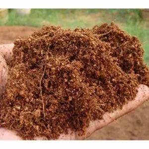 Cocopeat (Low EC Loose Form)