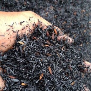 Carbonized Rice Husk