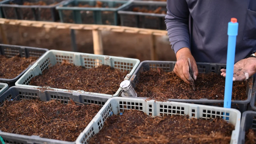 High-quality Indonesian cocopeat for U.S. agriculture from Atrin International