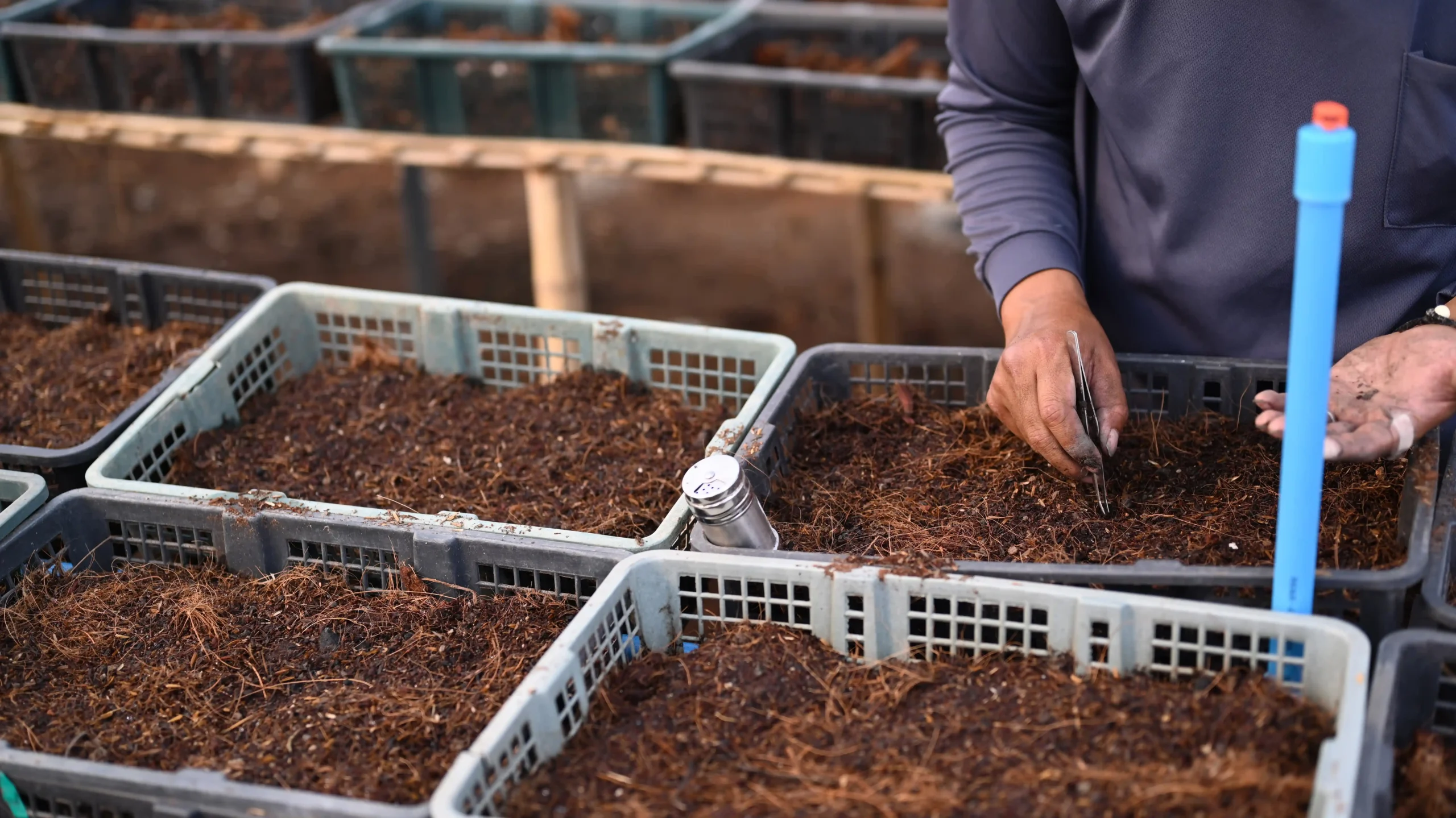 High-quality Indonesian cocopeat for U.S. agriculture from Atrin International